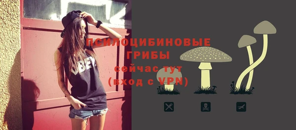 мдпв Баксан