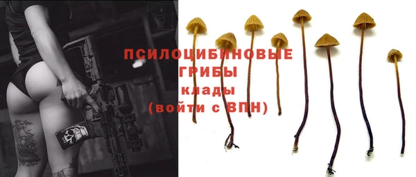 прущий лед Арсеньев