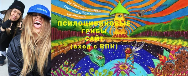 Альфа ПВП Струнино